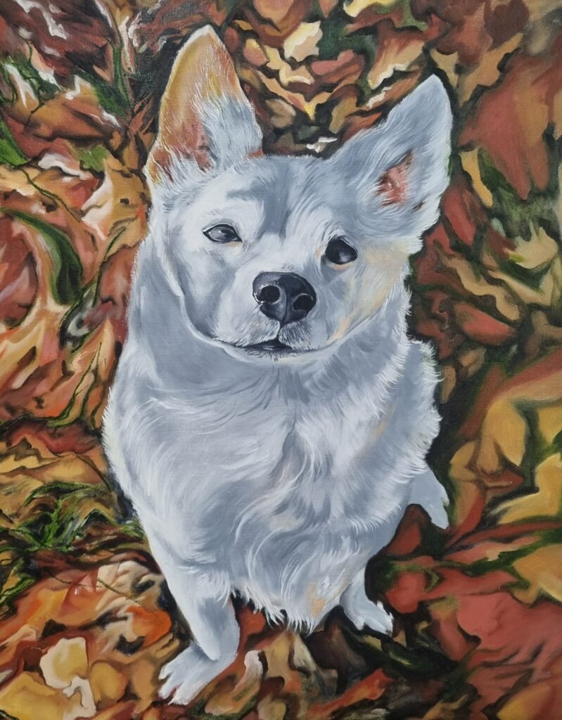 Medium Pet Portrait