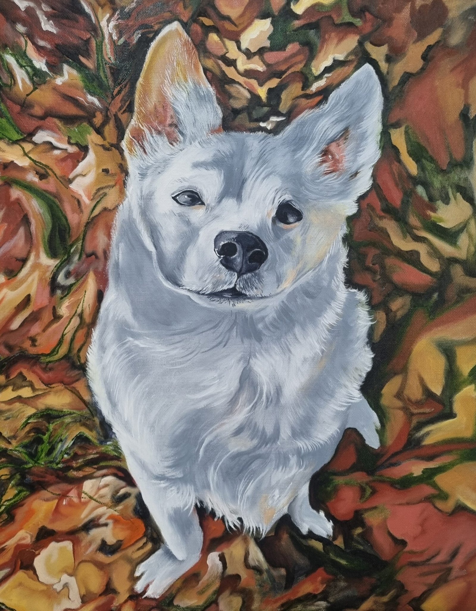 Medium Pet Portrait