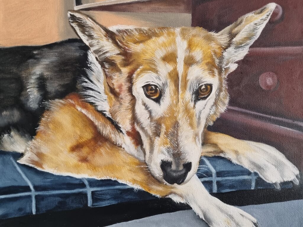 Small Pet Portrait