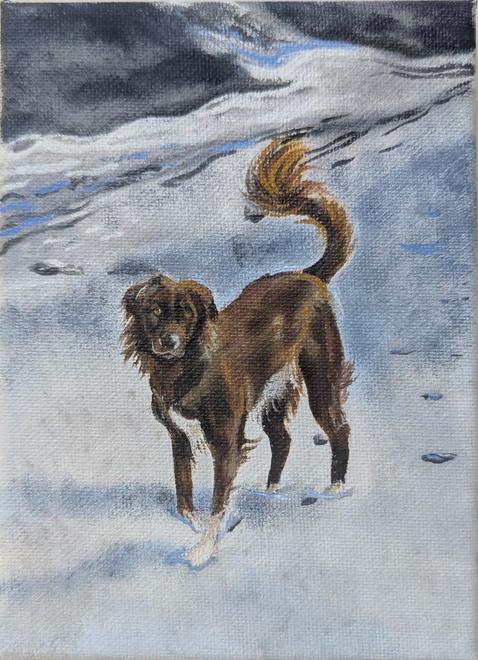 Small Pet Portrait - Image 2
